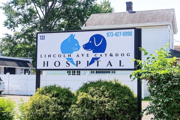 Veterinarian Near Me