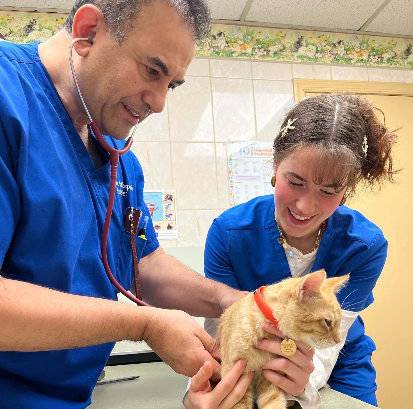 Veterinary care in Fairlawn, NJ