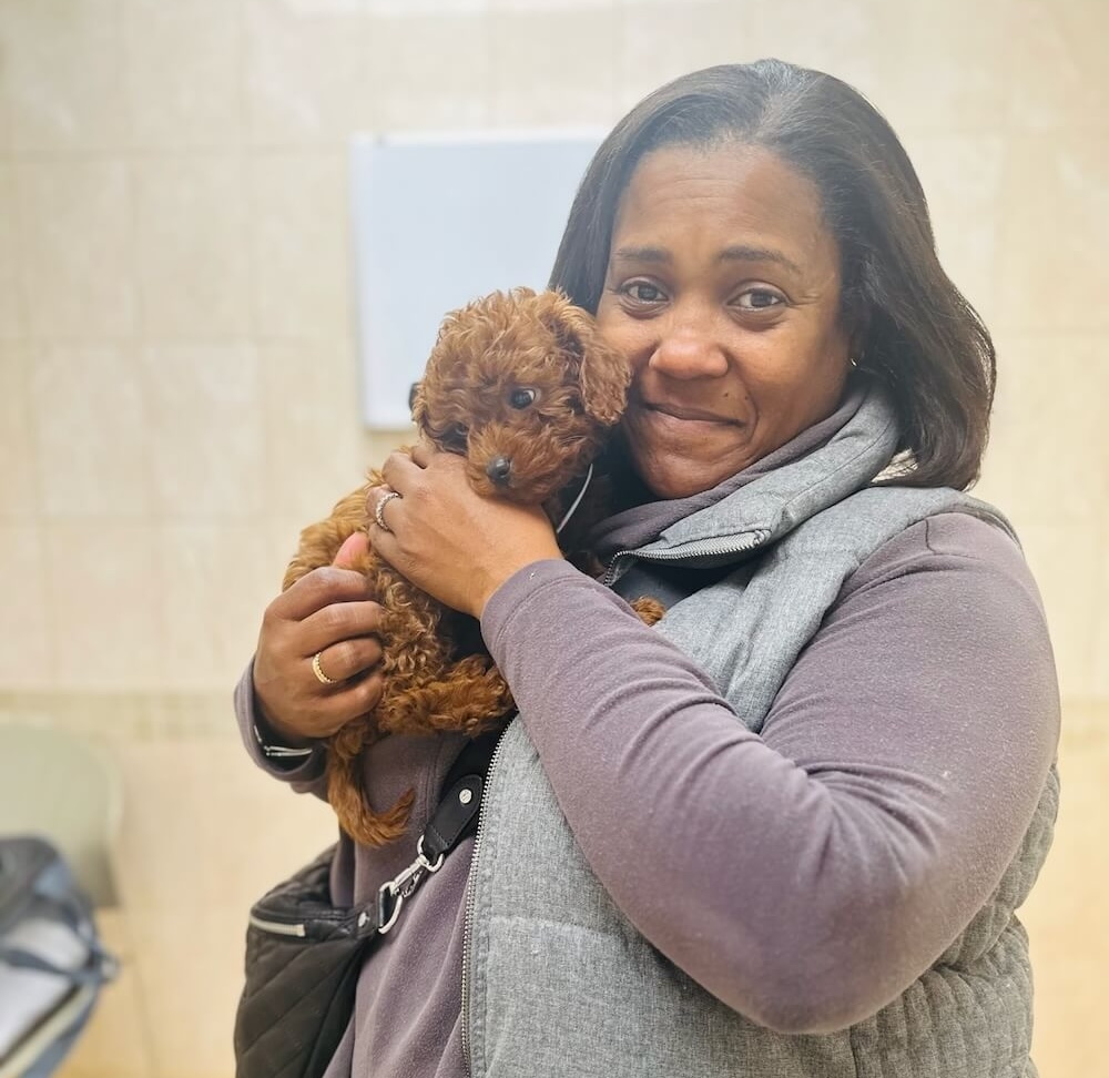 Happy pet owner holding a tiny red poodle puppy during a veterinary visit in Fairlawn