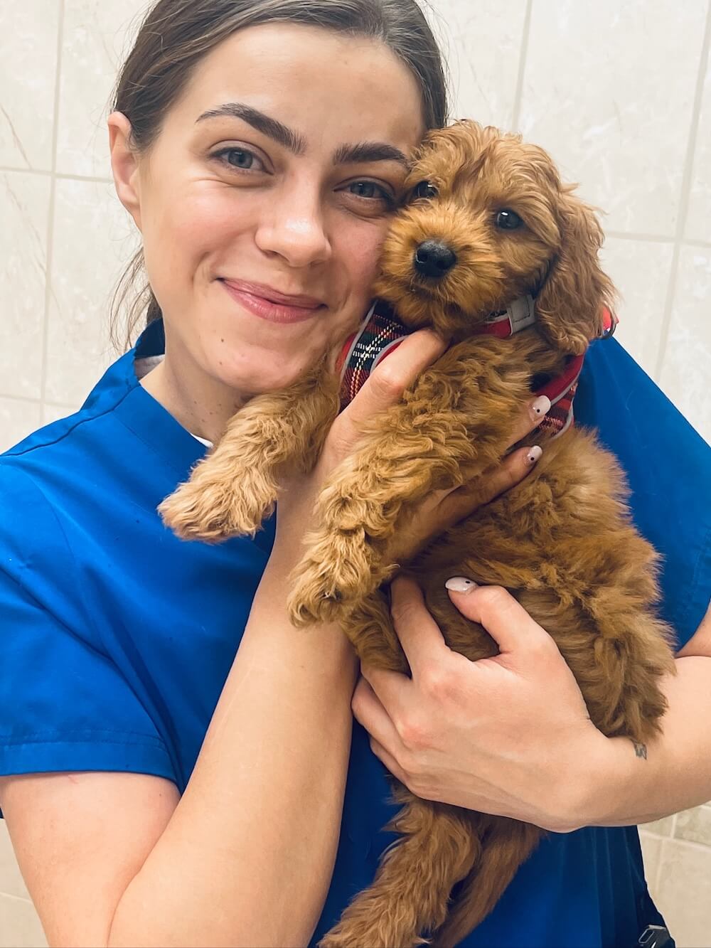 Smiling veterinary technician holding a fluffy red cavapoo puppy during a wellness visit in Fairlawn