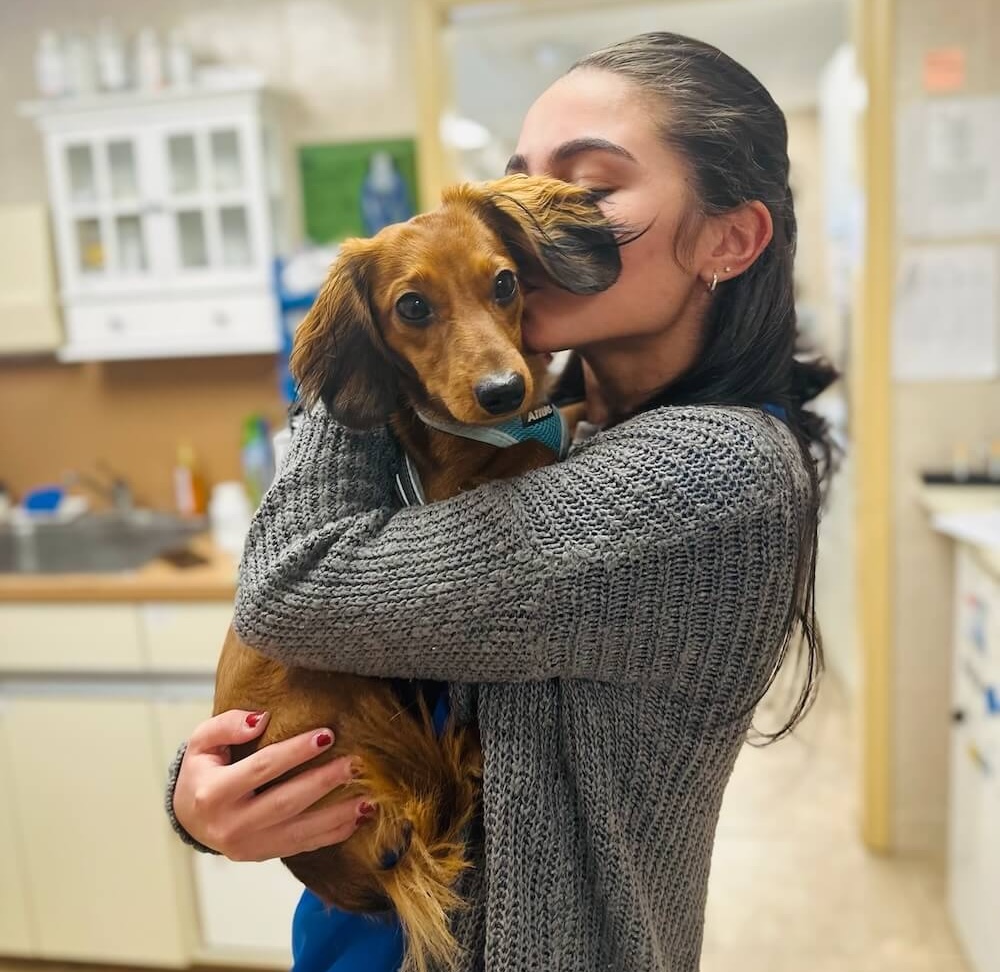 Veterinary staff member lovingly hugging a dachshund in an exam room in Fairlawn
