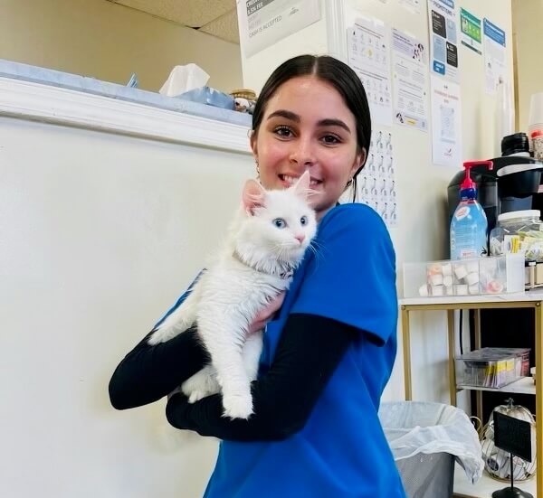 Smiling veterinary technician in scrubs holding a white blue-eyed kitten in Fairlawn