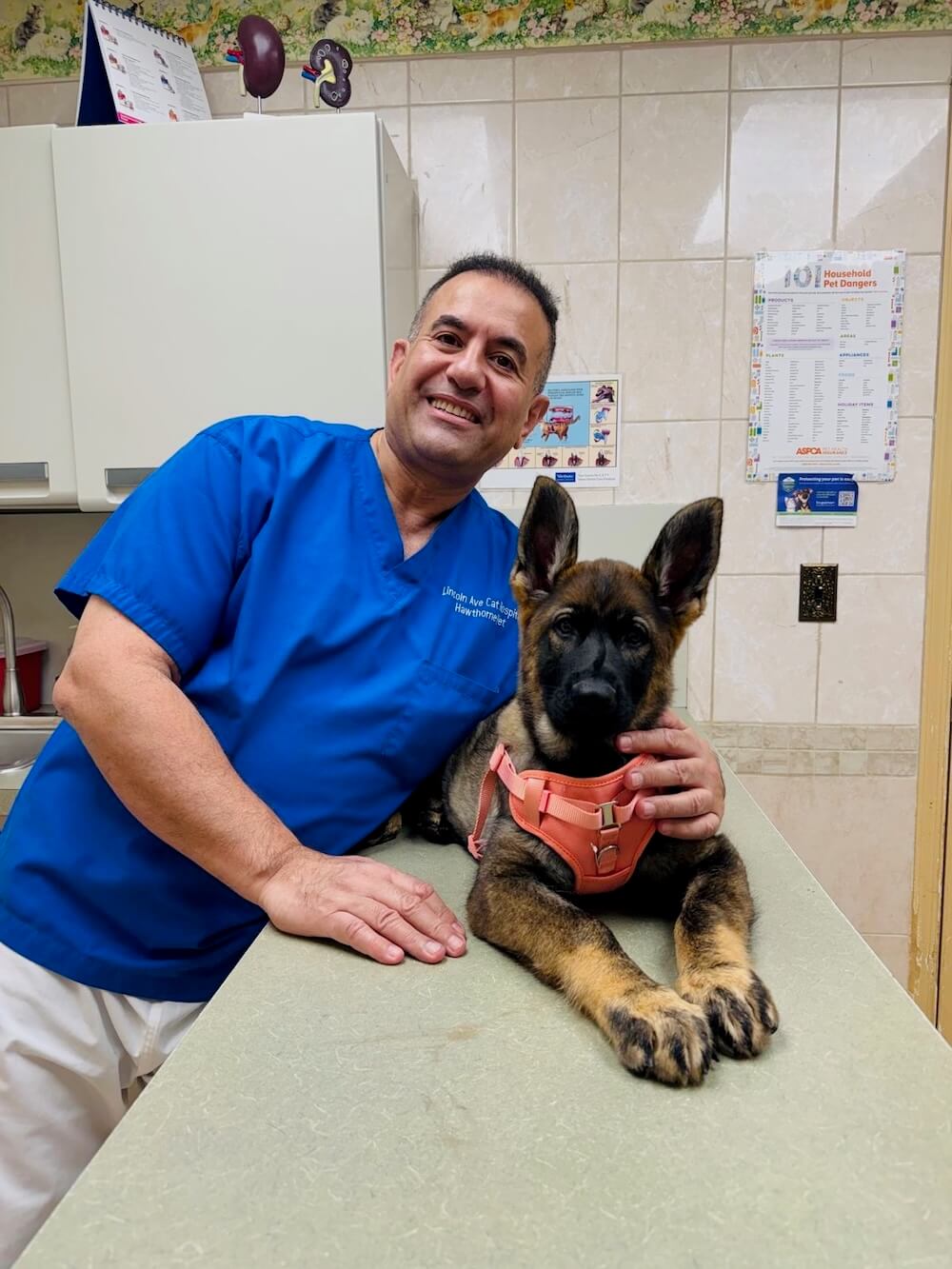 Smiling veterinarian in scrubs posing with a German Shepherd puppy during a wellness exam in Fairlawn