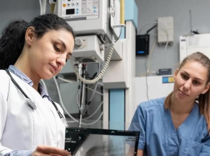 12 Must-Know Tips For A Smooth Pet CT Scan Experience