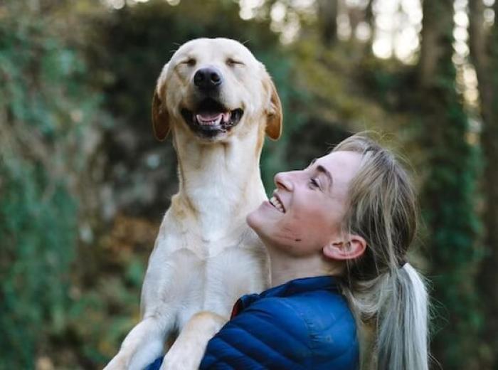 What To Do In A Pet Crisis | Emergency Vet Guide | LA Cat & Dog