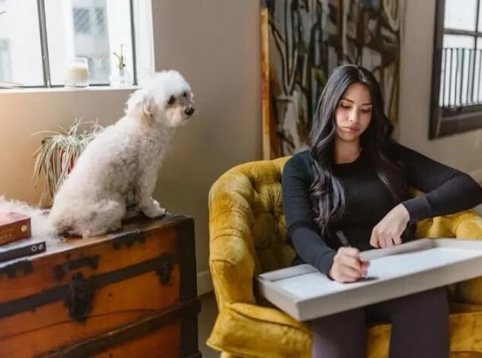 8 Ways For A Smooth First Pet Boarding Experience