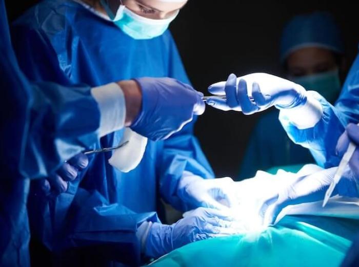 How Orthopedic Veterinary Surgery Helps Pets Regain Mobility After Injuries