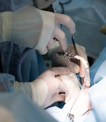 Orthopedics